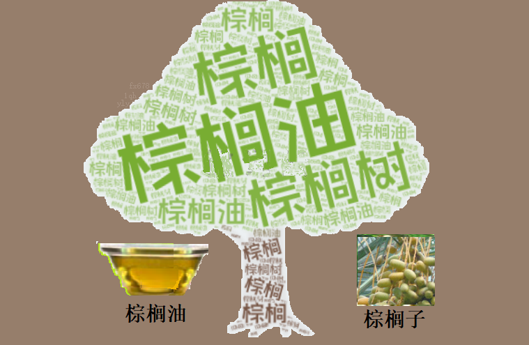 棕榈油延续弱势：汇率与政策双重压制